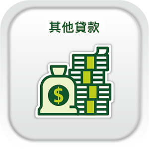 其他貸款